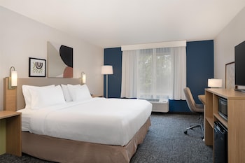 Room, 1 King Bed, Accessible (Mobility, Roll-In Shower)