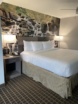 Suite, 1 King Bed with Sofa bed, Non Smoking (Corner Suite)