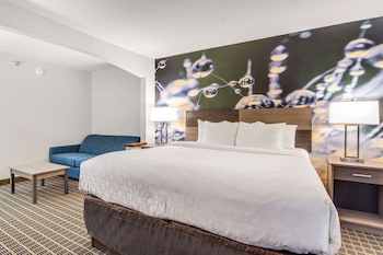 Suite, 1 King Bed with Sofa bed, Non Smoking