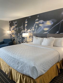 Room, 1 King Bed, Accessible, Non Smoking