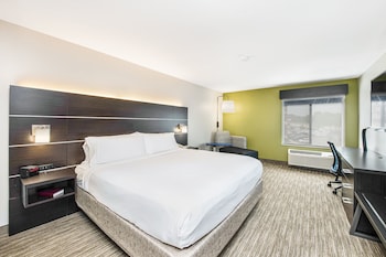 Standard Room, 1 King Bed with Sofa bed, Accessible Bathtub (Mobility)