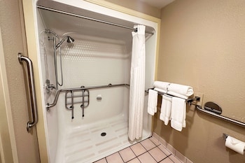 Room, 1 King Bed, Accessible, Non Smoking (Mobility/Hearing, Roll-in Shower)