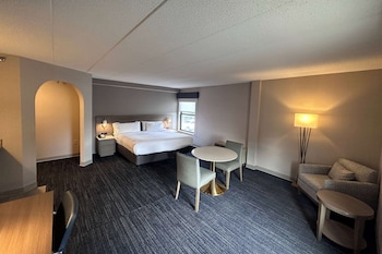 Deluxe Room, 1 King Bed, Non Smoking