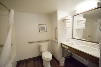 Room, 1 King Bed, Accessible, Bathtub