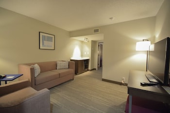 Suite, 1 King Bed with Sofa bed, Non Smoking
