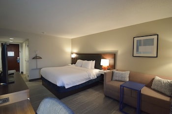 Room, 1 King Bed, Non Smoking, Refrigerator & Microwave