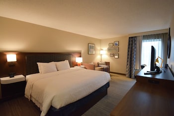 Room, 1 King Bed, Non Smoking, Refrigerator & Microwave