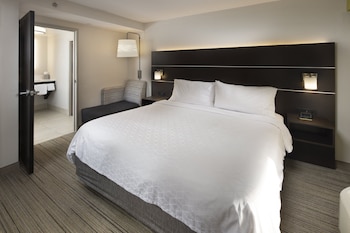 Suite, 1 King Bed, Mountain View
