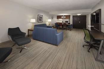 Suite, 1 King Bed, Mountain View