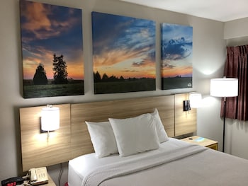 Room, 1 Queen Bed, Accessible