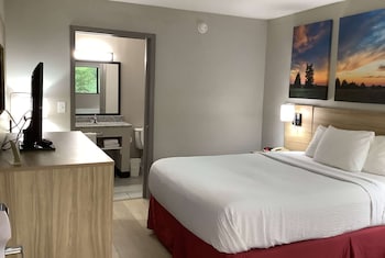 Room, 1 Queen Bed, Accessible