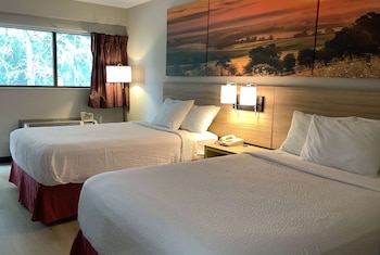 Double Room, 2 Double Beds
