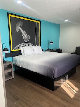 Room, 1 King Bed, Mobility Accessible, Non Smoking (Roll-in Shower)