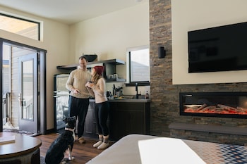 Cabin, 1 King Bed with Sofa bed, Accessible