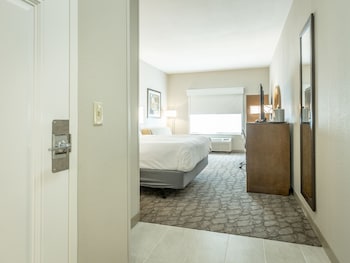 Standard Room, 1 King Bed, Mobility Accessible (Accessible Tub)