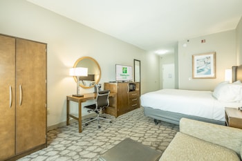 Standard Room, 1 King Bed, Mobility Accessible (Accessible Tub)