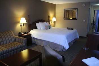 Room, 1 King Bed with Sofa bed, Non Smoking