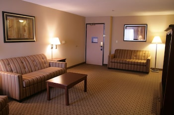 Suite, Non Smoking (Hospitality)