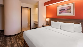 Standard Room, 1 King Bed, Non Smoking, Refrigerator & Microwave