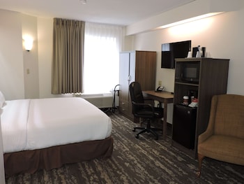 Standard Room, 1 King Bed, Non Smoking, Refrigerator & Microwave