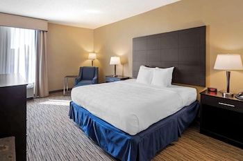 Standard Room, 1 King Bed, Non Smoking, Refrigerator & Microwave