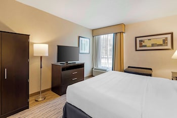 Presidential Suite, 1 King Bed, Non Smoking, Kitchenette (with Sofabed)