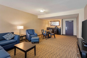 Presidential Suite, 1 King Bed, Non Smoking, Kitchenette (with Sofabed)