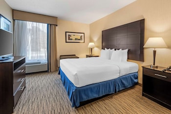 Suite, 1 King Bed, Non Smoking, Kitchenette (with Sofabed)