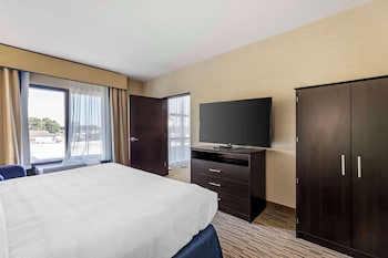 Presidential Suite, 1 King Bed, Non Smoking, Kitchenette (with Sofabed)
