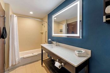 Presidential Suite, 1 King Bed, Non Smoking, Kitchenette (with Sofabed)