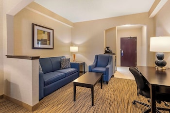 Suite, 1 King Bed, Non Smoking, Kitchenette (with Sofabed)