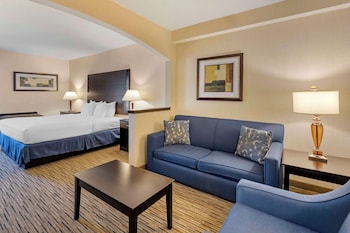 Suite, 1 King Bed, Non Smoking, Kitchenette (with Sofabed)