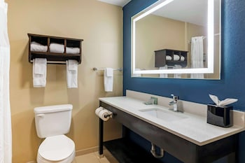 Standard Room, 1 King Bed, Non Smoking, Refrigerator & Microwave