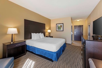 Standard Room, 1 King Bed, Non Smoking, Refrigerator & Microwave