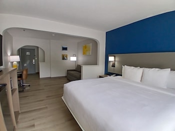 Executive Suite, 1 King Bed with Sofa Bed, Ground Floor