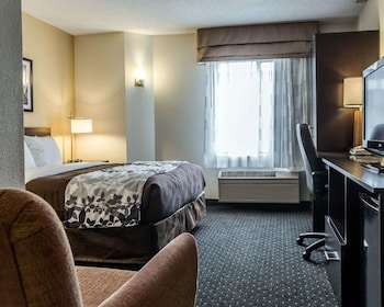 Room, 1 Queen Bed, Accessible, Non Smoking