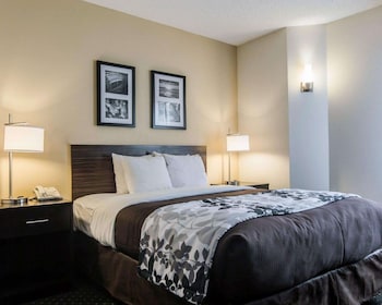 Room, 1 Queen Bed, Accessible, Non Smoking