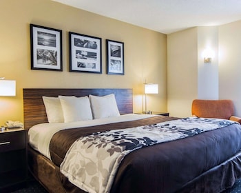 Standard Room, 1 King Bed, Non Smoking