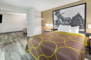 Room, 1 Queen Bed, Accessible, Non Smoking (Mobility/Roll-In Shower)