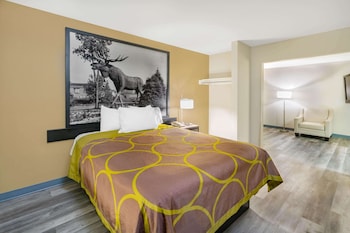 Room, 1 Queen Bed, Accessible, Non Smoking (Mobility/Roll-In Shower)