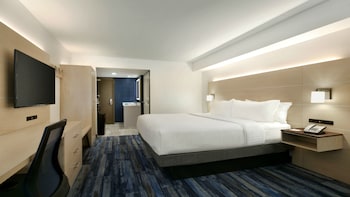 Room, 1 King Bed, Accessible (Comm, Mobility, Roll Shwr)