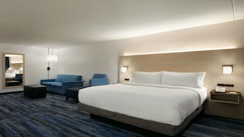 Suite, 1 King Bed with Sofa bed