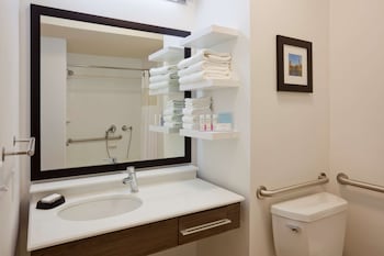 1 King Mobility Access Roll in Shower