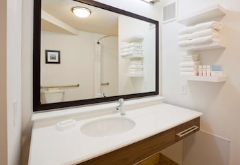 1 King Mobility Access Tub