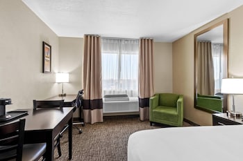 Standard Room, 1 King Bed, Non Smoking
