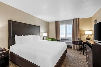 Premium Suite, 1 King Bed, 2 TV's, Sitting area with Sofa, Non-Smoking