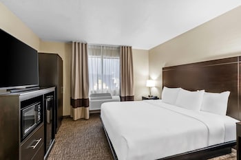 Standard Room, 1 Queen Bed, Roll-in Shower, Accessible, Non Smoking