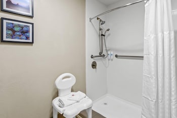 Standard Room, 1 Queen Bed, Roll-in Shower, Accessible, Non Smoking