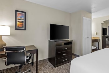 Premium Suite, 1 King Bed, 2 TV's, Sitting area with Sofa, Non-Smoking
