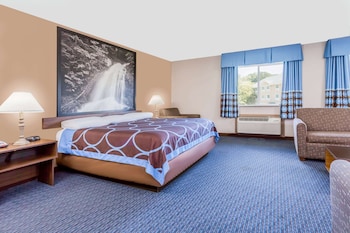 Studio Suite, 1 King Bed, Accessible, Non Smoking
